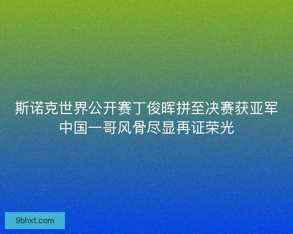 斯诺克世界公开赛丁俊晖拼至决赛获亚军中国一哥风骨尽显再证荣光