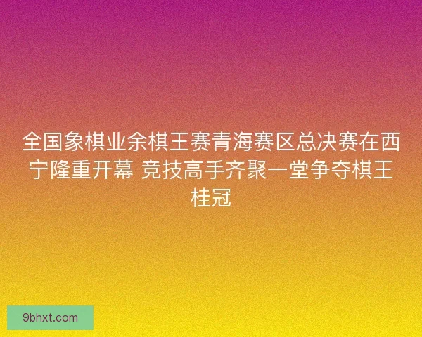 全国象棋业余棋王赛青海赛区总决赛在西宁隆重开幕 竞技高手齐聚一堂争夺棋王桂冠